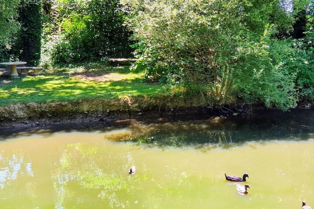 Tout Le Confort Au Milieu D'Un Parc Botanique Noyal-Muzillac Εξωτερικό φωτογραφία